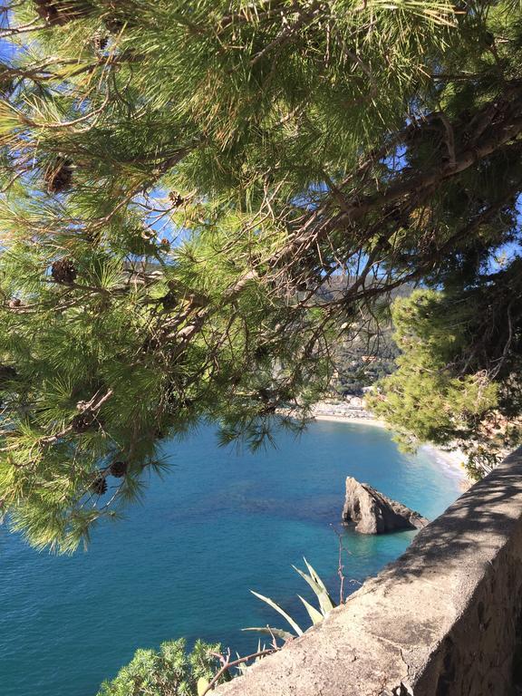 Apartamento Acciuga Monterosso al Mare Exterior foto